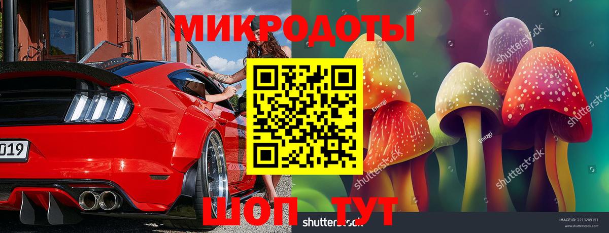 Галлюциногенные грибы ЛСД Тутаев