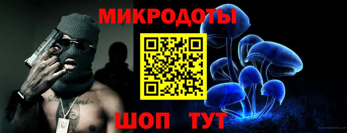 Галлюциногенные грибы Psilocybine cubensis  Вход с VPN  Тутаев 